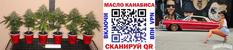 ТГК жижа нарко площадка наркотические препараты Новоалександровск