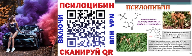 Галлюциногенные грибы мицелий  цены   МЕГА ссылка  Новоалександровск 